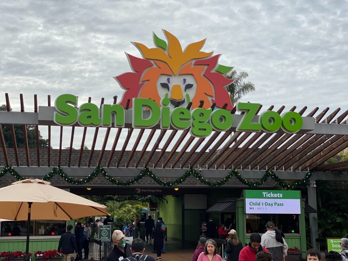 San Diego Zoo and San Diego Zoo Safari Park have 3,700 birds in their care.