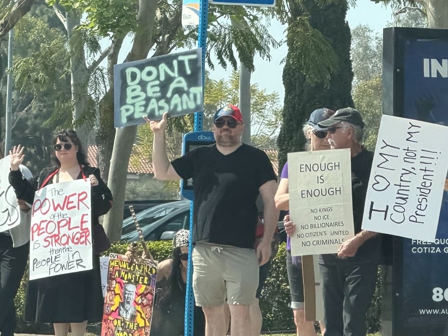 Protestors at a "No Kings" demonstration in Orange County.
