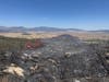 A wildfire burning in Cleveland National Forest near Lake Henshaw was 55% contained Sunday after charring 689 acres, officials said.