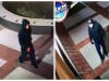Bike Thieves, surveillance photos
