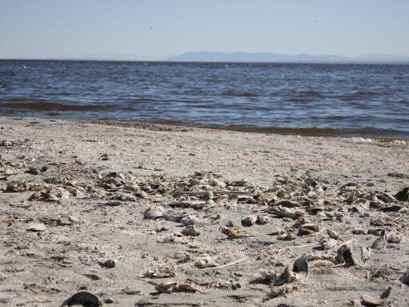 Hydrogen sulfide levels wafting up from the Salton Sea are elevated, officials said.