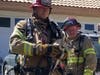 Three canines rescued from blaze in Elsinore home.