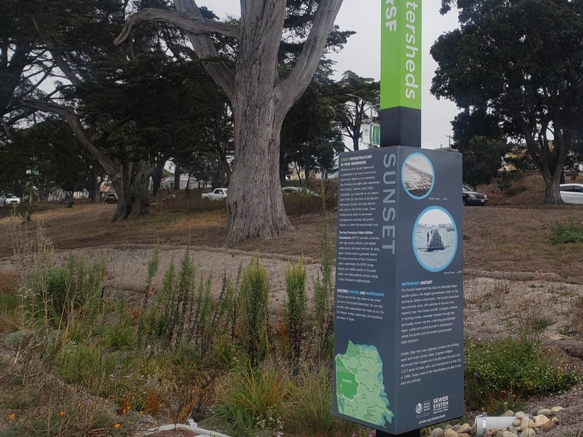 The new Sunset Boulevard Greenway along Sunset Boulevard in San Francisco, Calif.