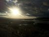 Photo taken in Coyote Hills Regional Park in 2019.
