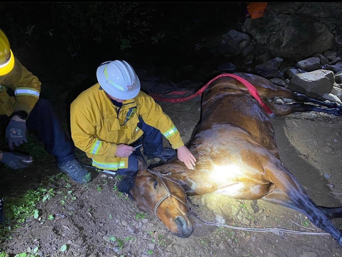 The pair fell Thursday night, the fire department tweeted on Saturday.