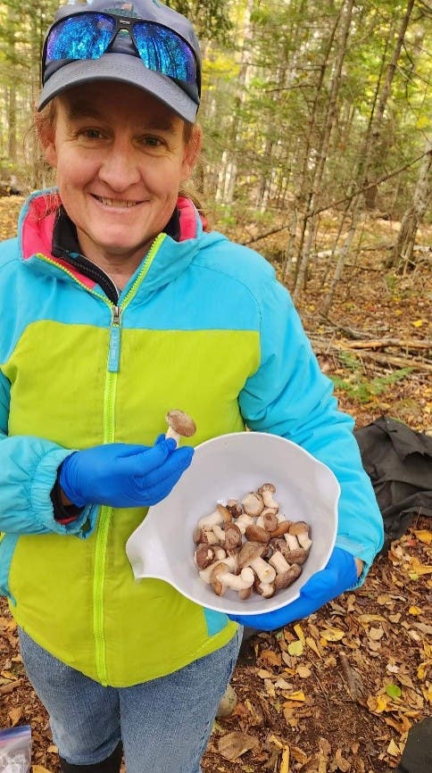 Nashua Garden Club Presents ‘Growing Shiitake Mushrooms’