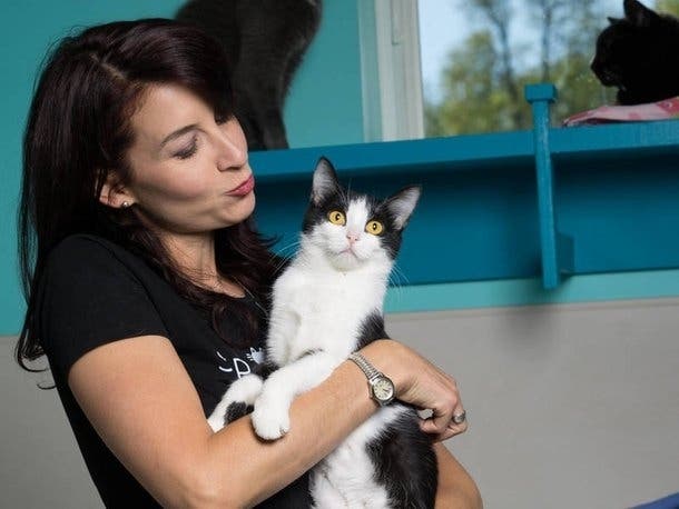 Katy McHugh, owner and founder of Sip & Purr opened at 2021 E. Ivanhoe Place on Milwaukee's East Side.