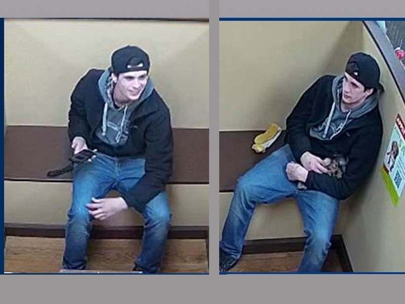 The value of the puppy was $4,100, police said.