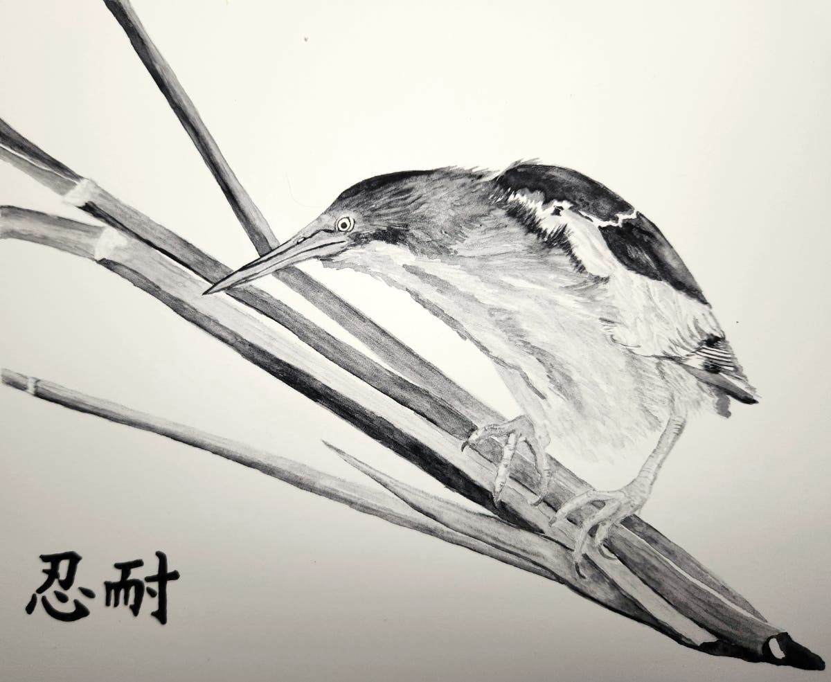 The North Suburban YMCA’s Community Gallery is showcasing the artwork by Karen Bonner during the month of April.