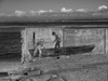 CAPTION: North Suburban YMCA’s Community Gallery is showcasing Robert Sills’ artwork and photography through September This piece is titled “Carp et diem”.