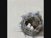 North Suburban YMCA’s Community Gallery for February features artist Lois Johnson, this painting is named Nest.
