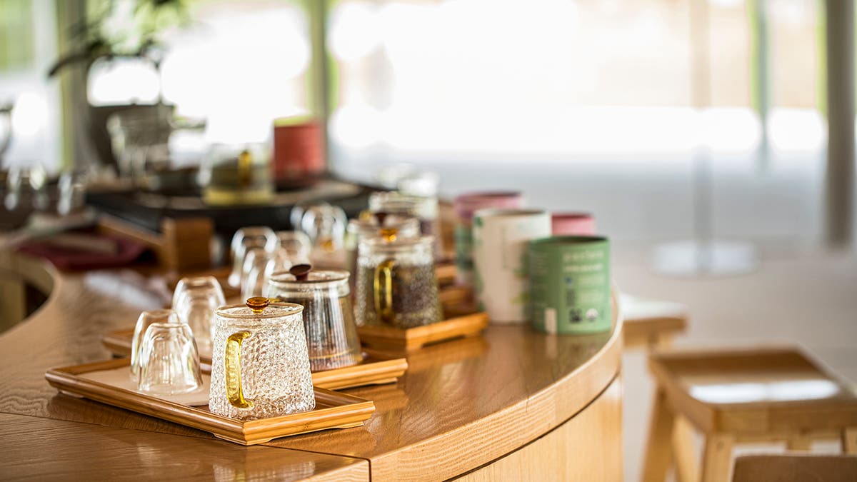 Journey Into the World of Tea: White and Green Teas