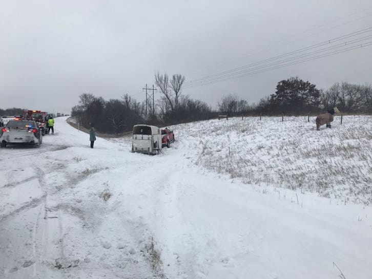 Horse Let Out to Graze on I-35 After Truck Avoids Crash | Lakeville, MN
