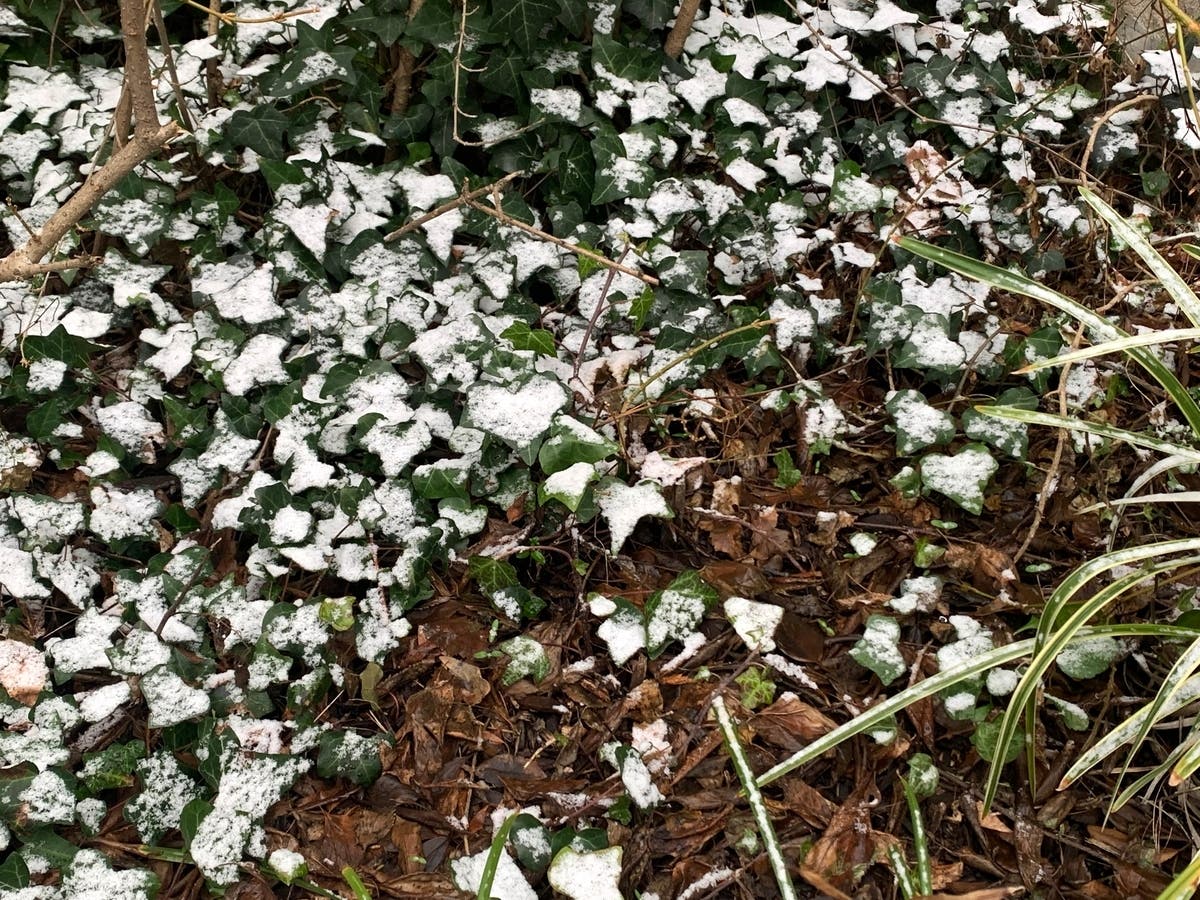 NWS Issues Frost Advisory For Twin Cities MN Weather Southwest