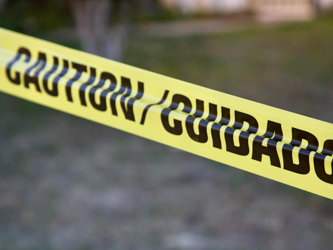 Thomas Pauza-Moore, who would have turned 4 on Aug. 27,​ shot himself in the head with his father's 9mm handgun, according to court documents.