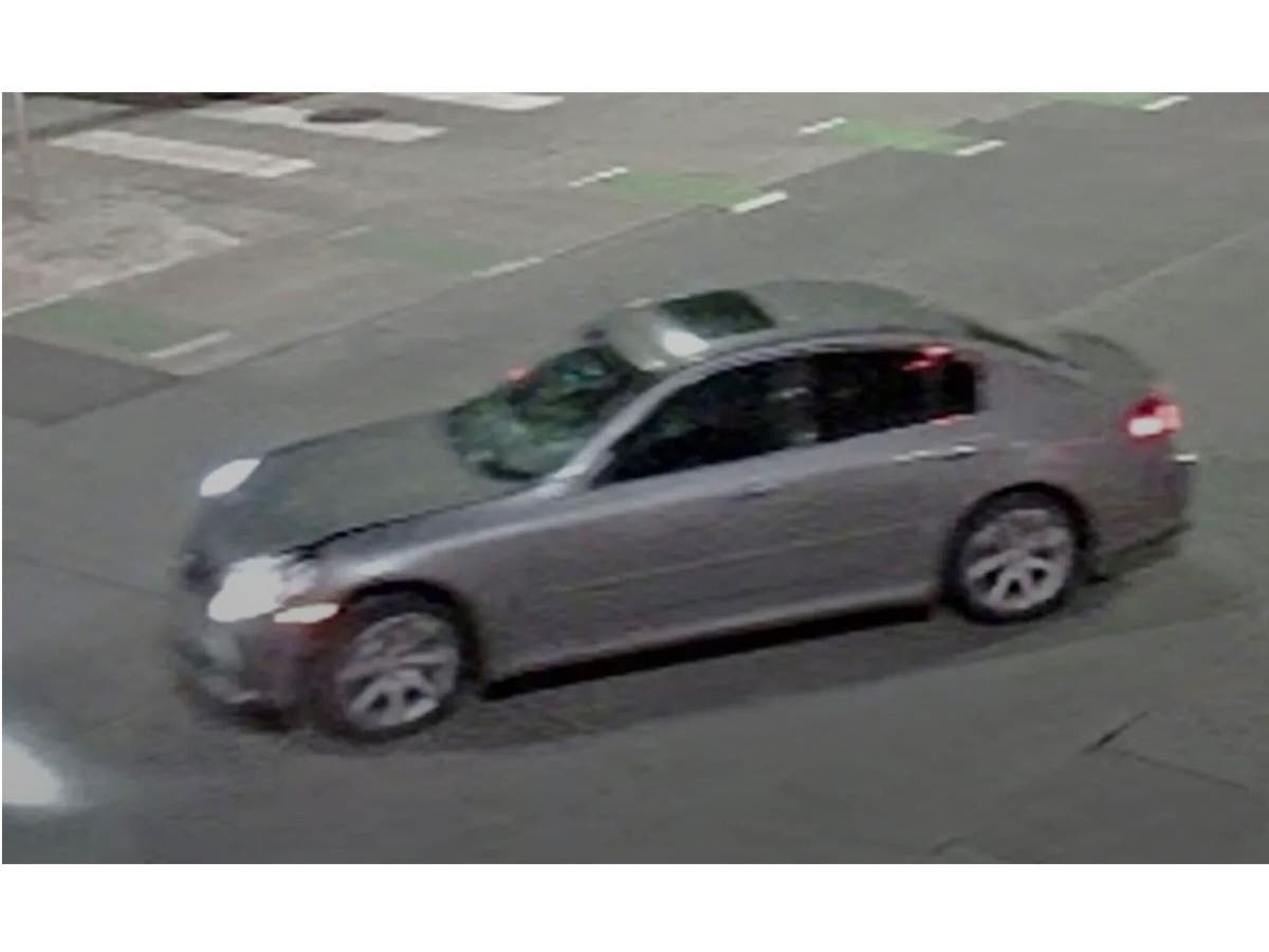 Police are asking the public to help identify a vehicle involved in a fatal hit-and-run that killed a 21-year-old University of St. Thomas student early Sunday in northeast Minneapolis.