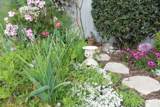 Laguna Beach's Fairy Garden: Photos Of The Week | Laguna Beach, CA Patch