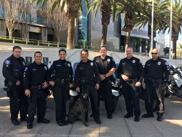 Hero Police Dog Gets Purple Heart For Taking A Bite Out Of Crime | Los ...