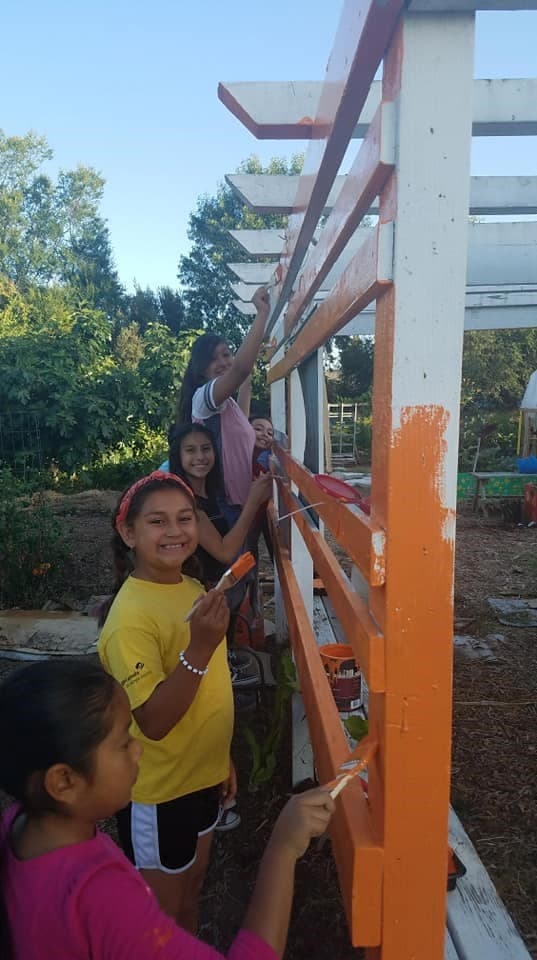 Troop 3713 volunteering at a community garden.