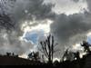 Snowy Skies of Mission Viejo, Suzanne Levesque