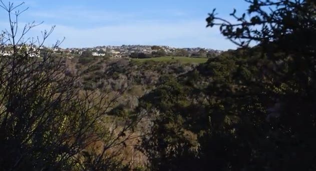 Buck Gully Reserve in Newport Beach