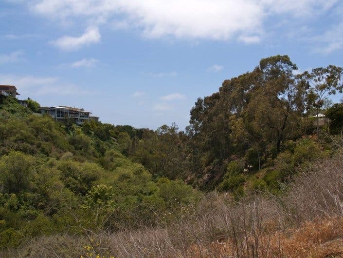 Buck Gully Reserve in Newport Beach