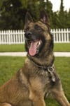 Noa was 15-years-old when she passed, OCSD says.
