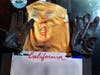 A bizarre arrest took place early Monday when Mission Viejo police discovered a suspect in a Trump mask attacking a car.