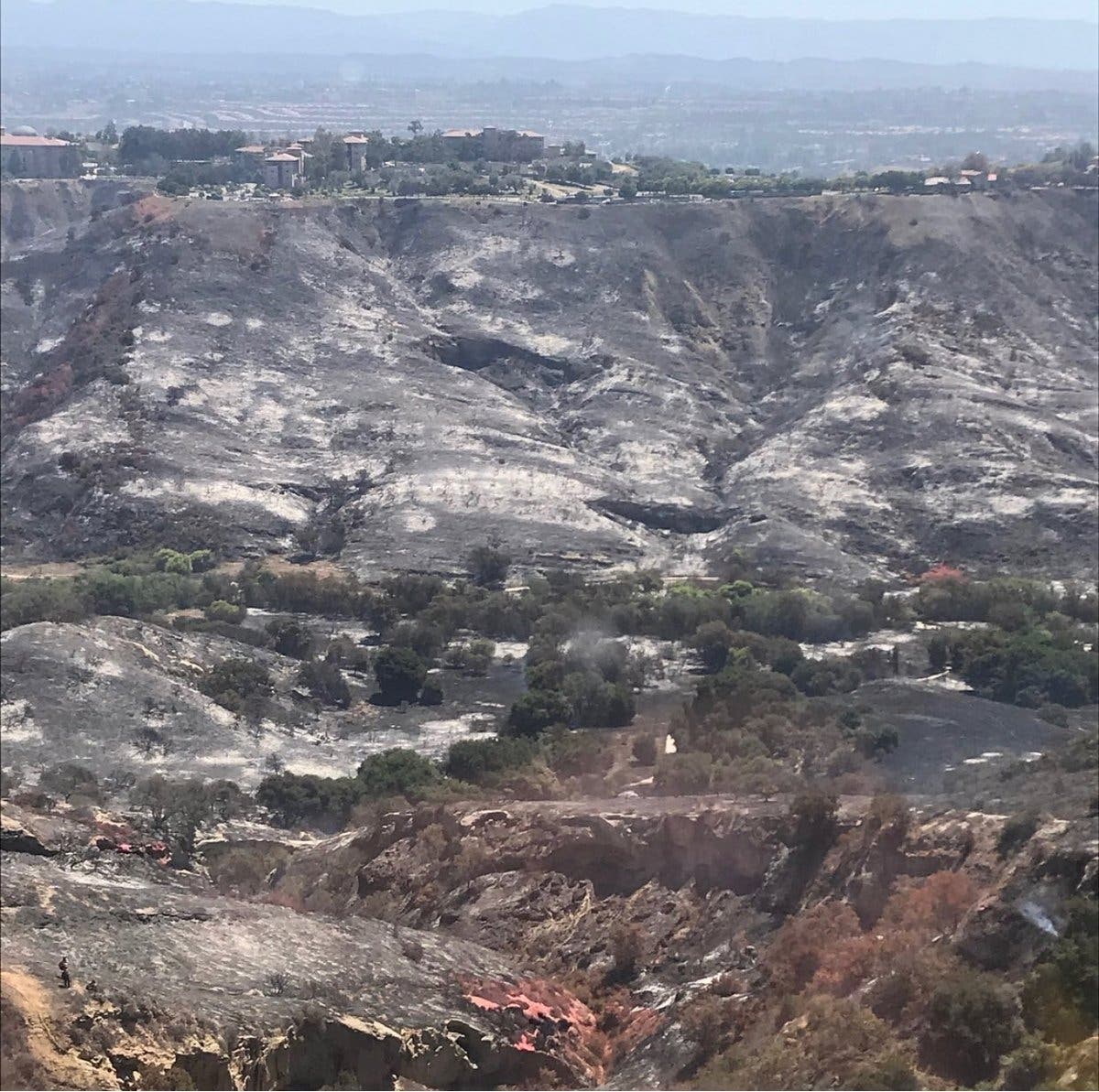 After the Aliso Fire, the scorched earth was all that remained.