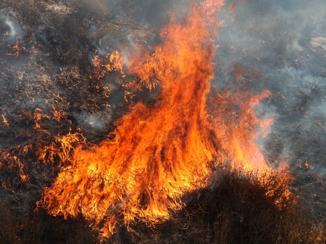 Santiago Canyon brush fire likely caused by fireworks, officials said.