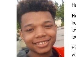Jonas Nelson is an at risk missing person.
