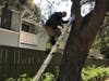 A ladder climb was in order for the OCFA firefighters assisting an 8-year-old boy with the rescue of his pet chameleon.