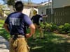 OCFA Firefighters evaluate the best way to get the chameleon out of the tree.