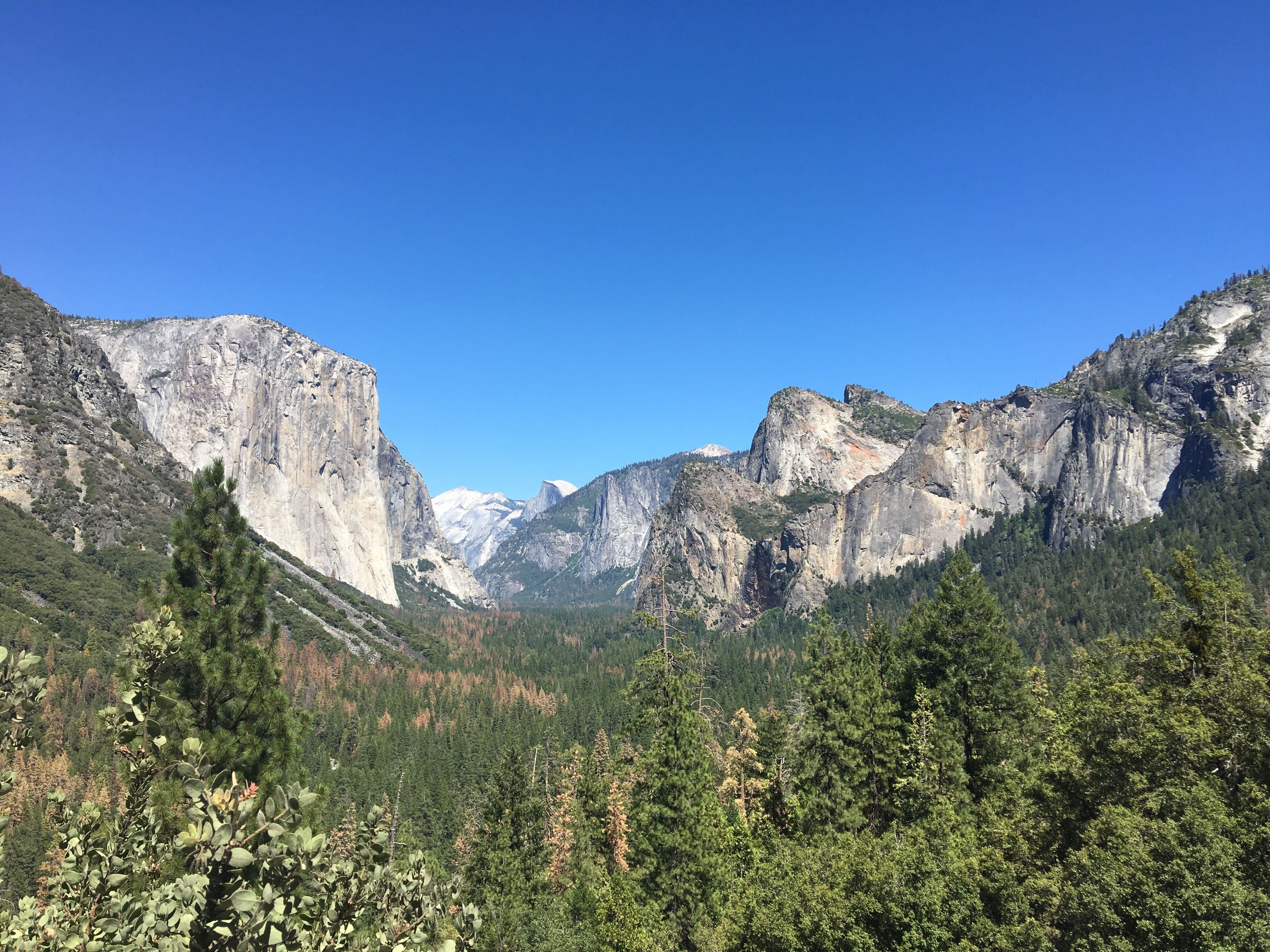 Emily Holland, Patch Editor Photo Yosemite
