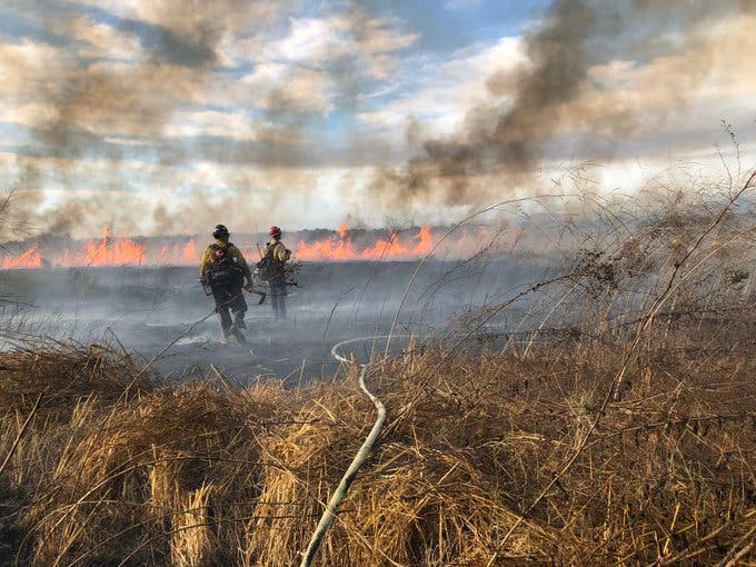 Firefighters battle the Fossil Fire on Sunday, OCFA Photo