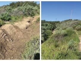 The Pacific Horizon Preserve will be restored to its natural beauty.