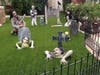 A Rancho Santa Margarita family has decked out their yard in ghoulish fashion this Halloween.