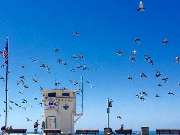 Parking rates in Laguna Beach are on the rise.