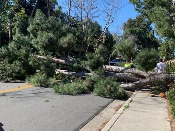 Downed trees and power outages were possible in Orange County through Friday.