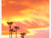 Newport Beach's blazing sunset.
