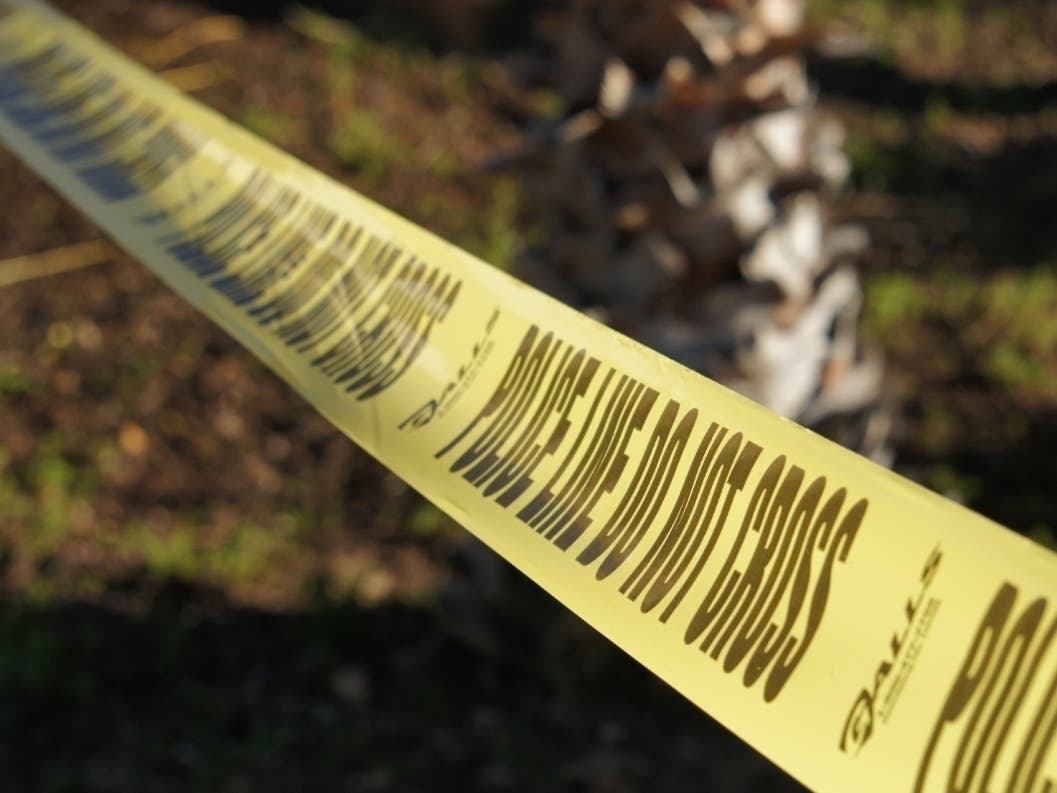 Police arrived at the scene of a domestic disturbance and unleashed the K9 officer.