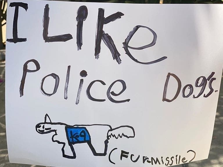 Drawn by resident, Scarlett, Mission Viejo Police Services K9 unit got a rare treat, and a new name for their K9 officers.