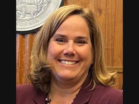 Louise Robertson shares with Patch why she should be elected to serve in Lake Forest, District 1.