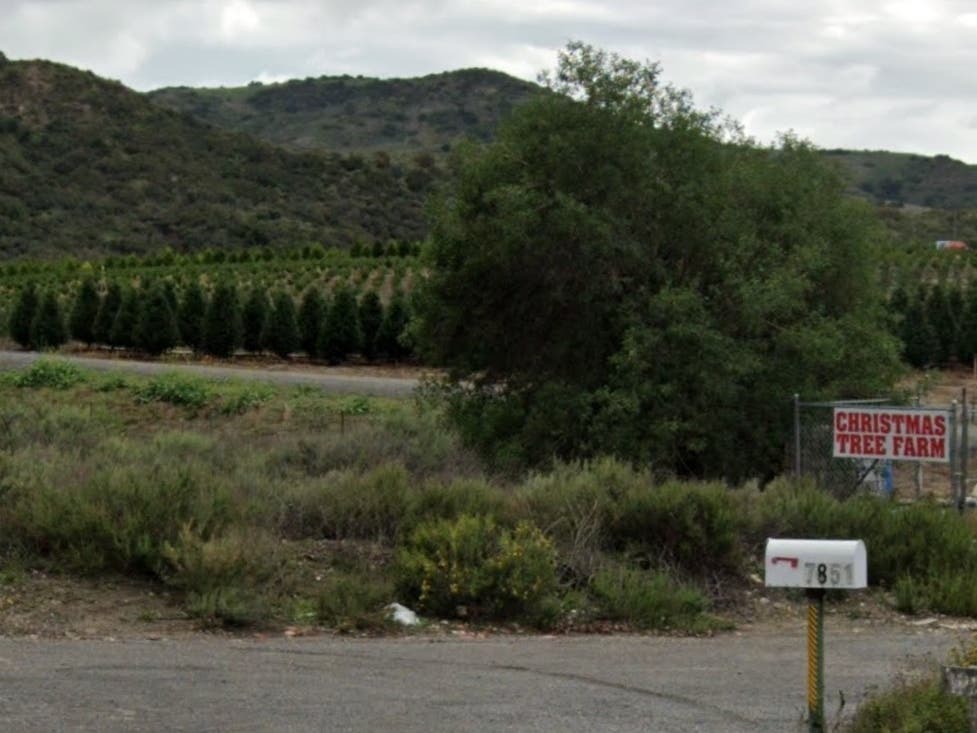 Is hewing and hauling your Christmas tree part of your family's tradition? Peltzer Pines is open for business in Silverado Canyon.