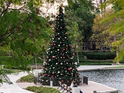 The City of Rancho Santa Margarita is glowing with holiday cheer! We thank Patch reader Angela Madsen for her photo of the tree by the lake!