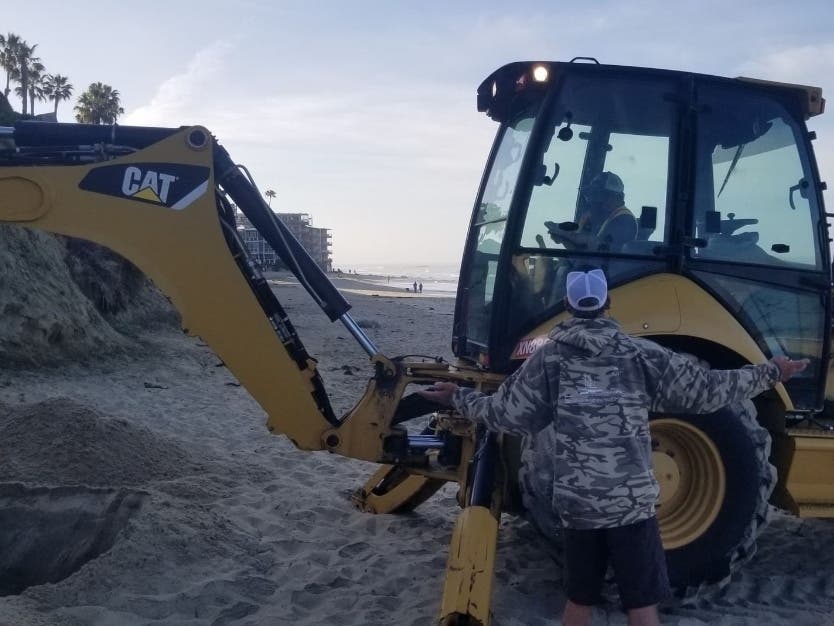 Residents living near Main Beach shared their shock at the sight of Laguna Beach workers burying seals and sea lions along the shore.