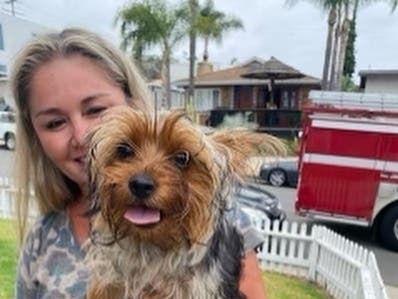 A grateful smile and tail wag was payment enough for this little Yorkshire Terrier saved from getting squished in a reclining chair.