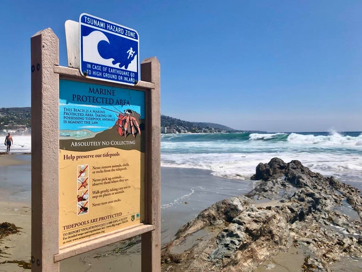 Ready, set, clean! Saturday is your local Beach Cleanup Day in Laguna Beach. Here's how to join in.