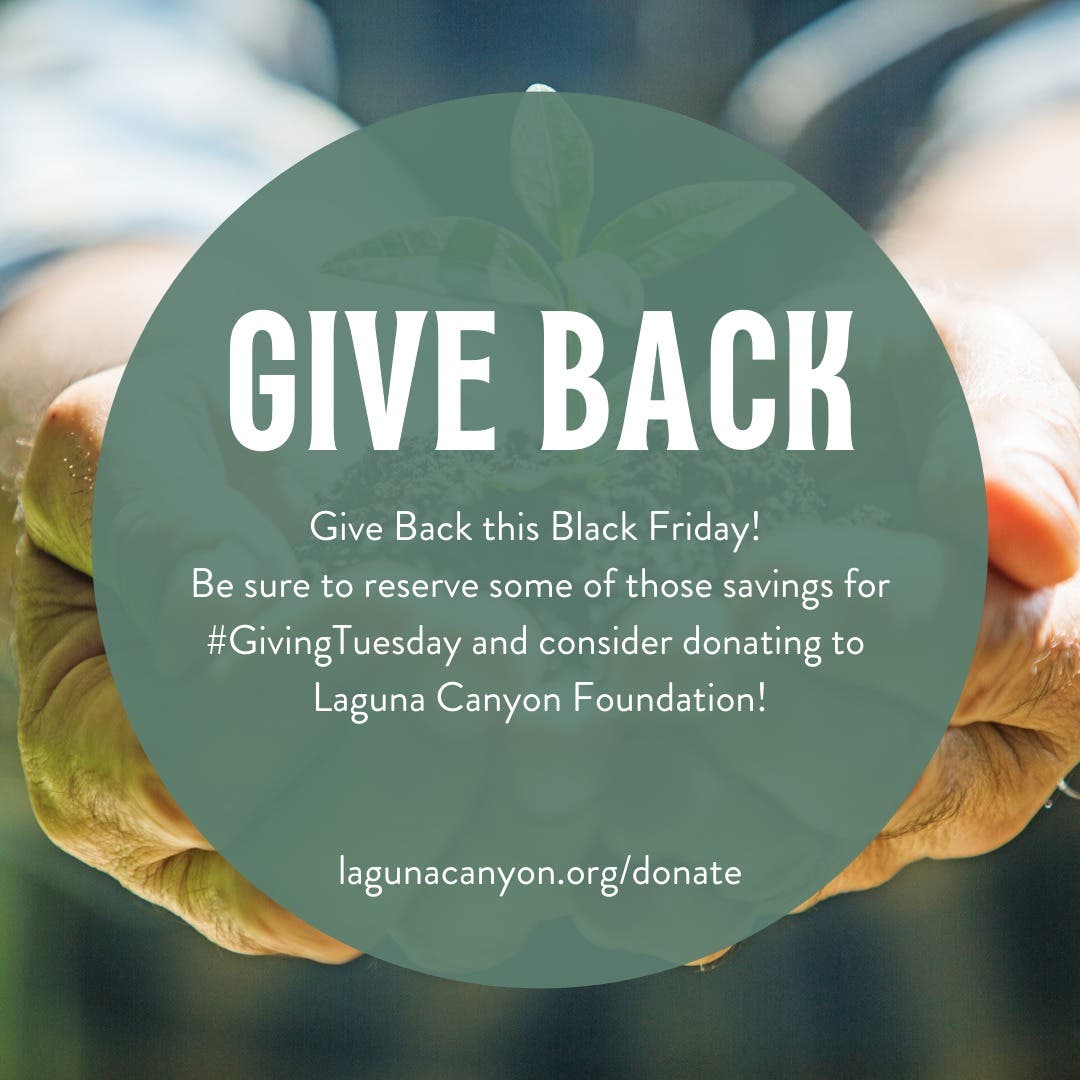 http://www.lagunacanyon.org/donate