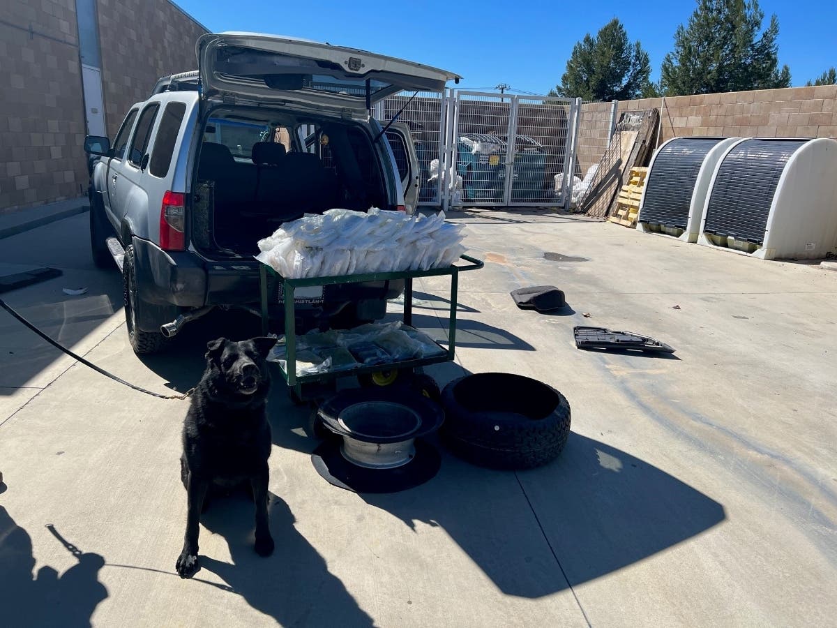 A K9 officer after a job well done. The dog stands beside the SUV found 27 pounds of cocaine and 99 pounds of methamphetamine seized in Murrieta Friday.